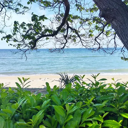 Sea View Apartmán Elenite